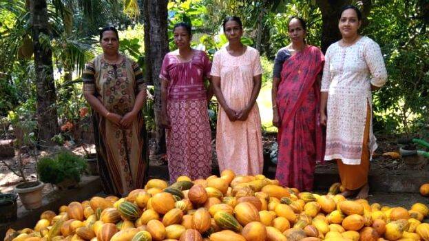 kudumbasree