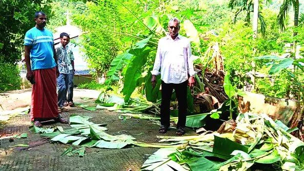 edappuzha