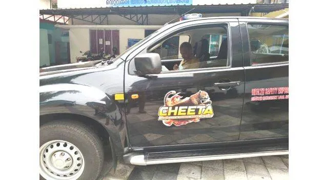 cheeta