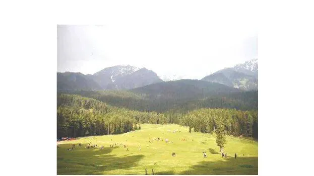 pahal-