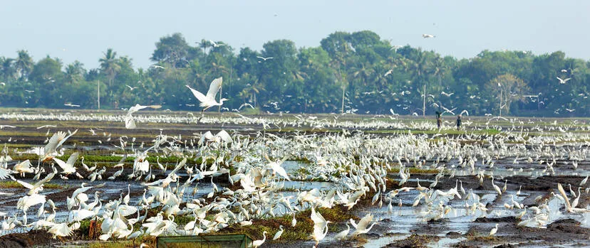 Kerala Kaumudi Photo Gallery
