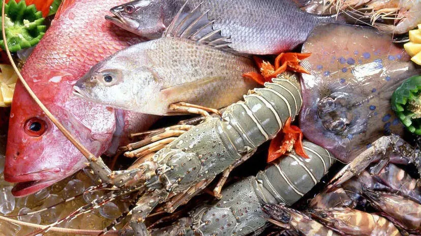 fish