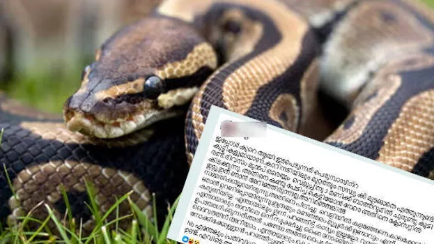 python