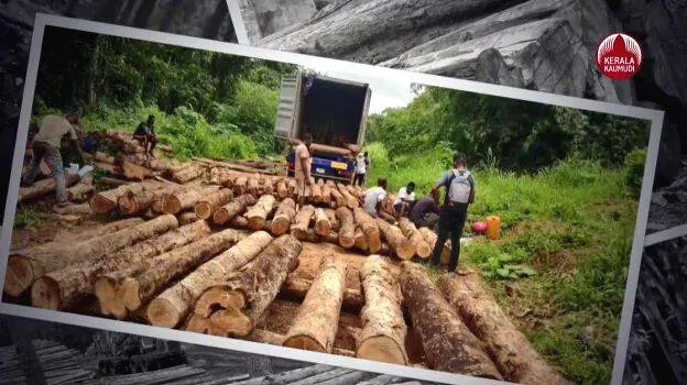 wood