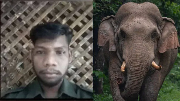 satheesh