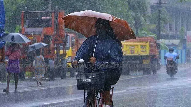 rain