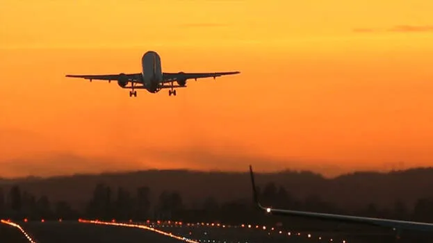 flight