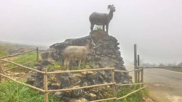 ponmudi