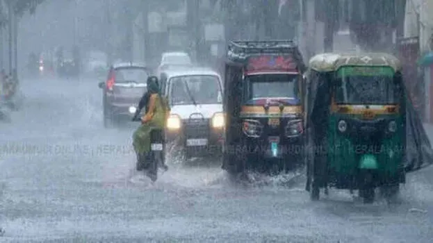 rain