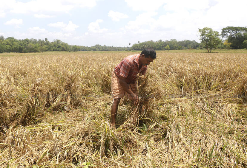 Kerala Kaumudi Photo Gallery