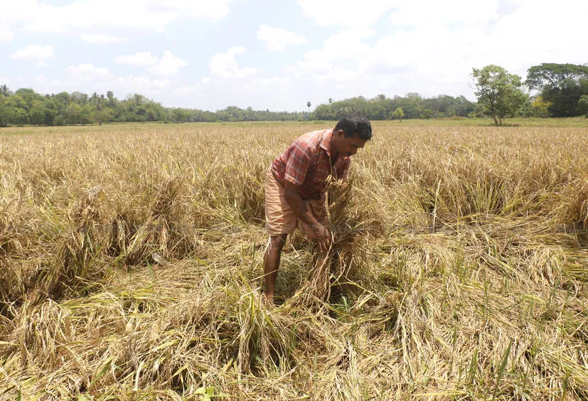 Kerala Kaumudi Photo Gallery