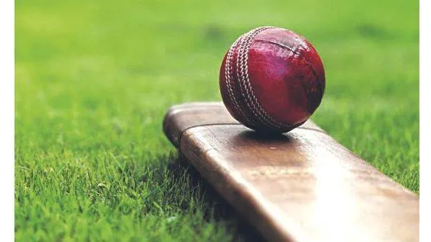 cricket