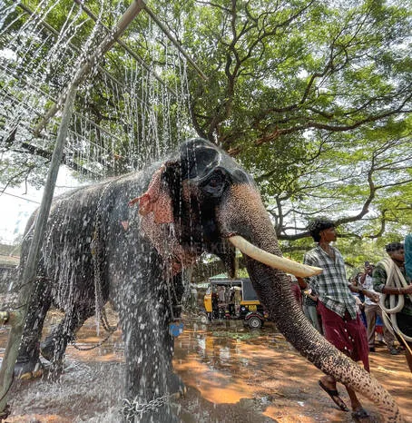 Kerala Kaumudi Photo Gallery