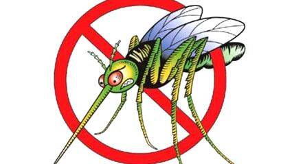 malaria