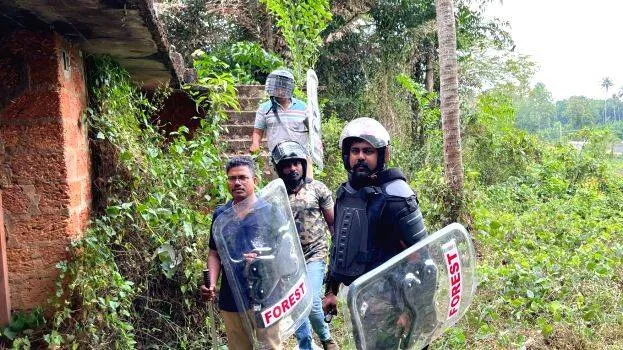 puli