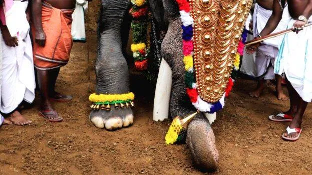 chalukutte