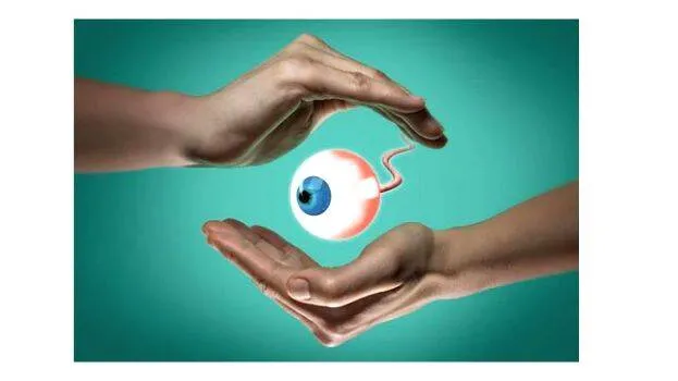 eye