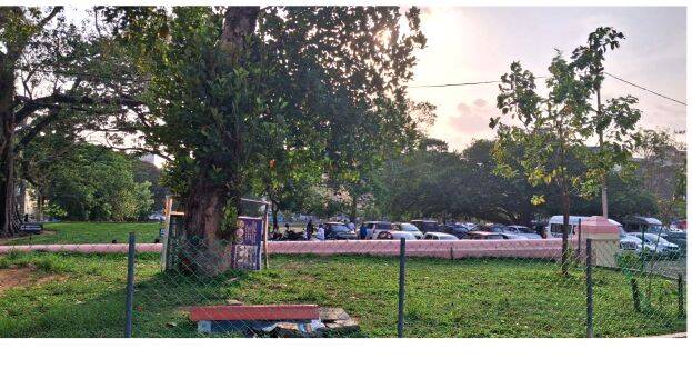 nilapad-thara