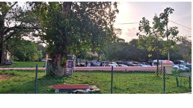 nilapad-thara