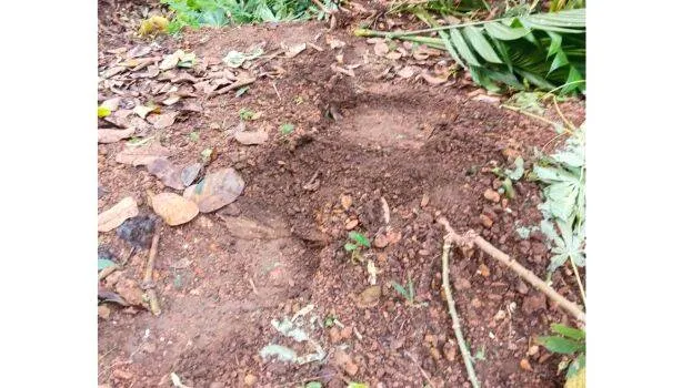 photo1