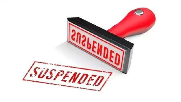 suspension