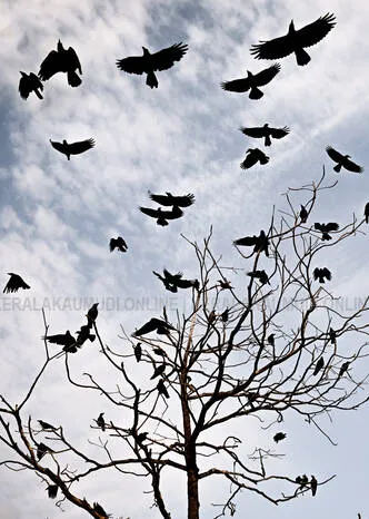 Kerala Kaumudi Photo Gallery