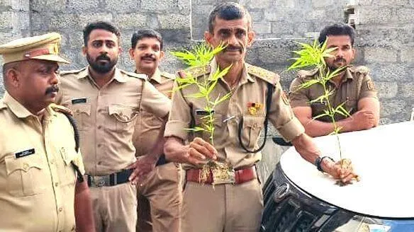 kanchavu-