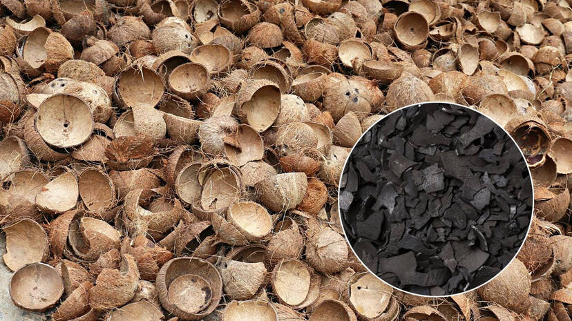 shell