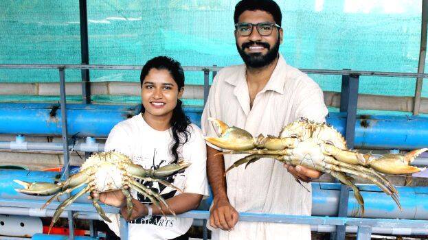 crab
