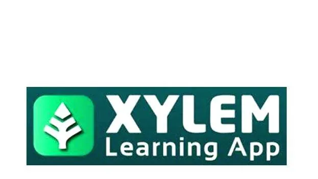 xylem
