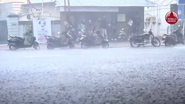 rain