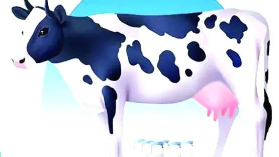 cow