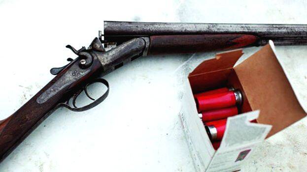 gun