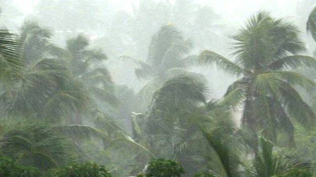 rain