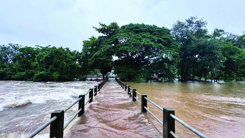 meenkuzhi