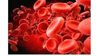 blood