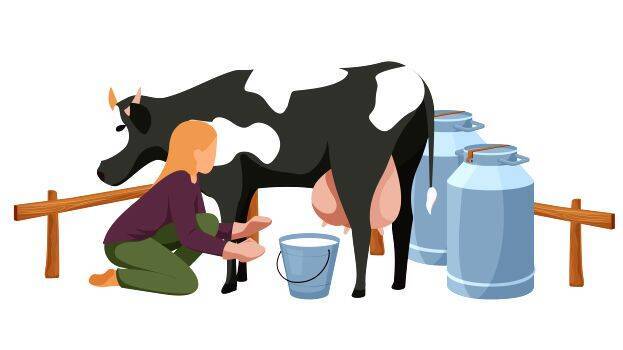 milk