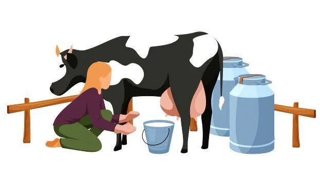 milk