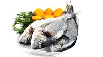 fish
