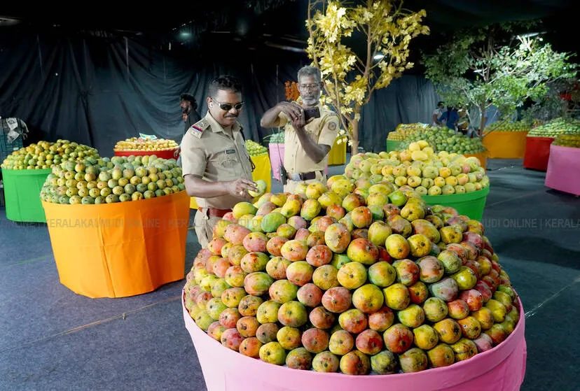mango