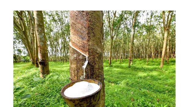 rubber