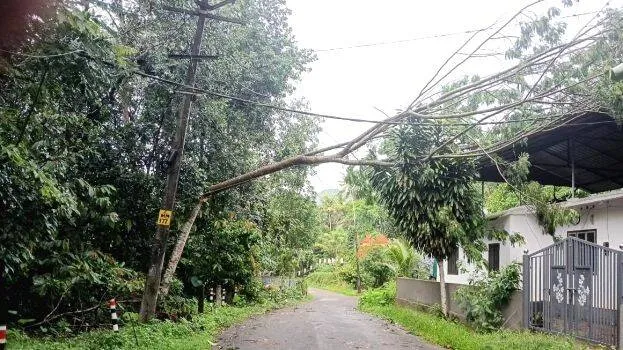kanmala