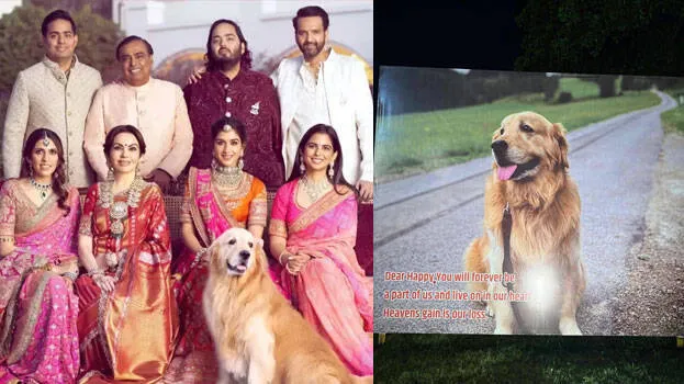 happy-ambani