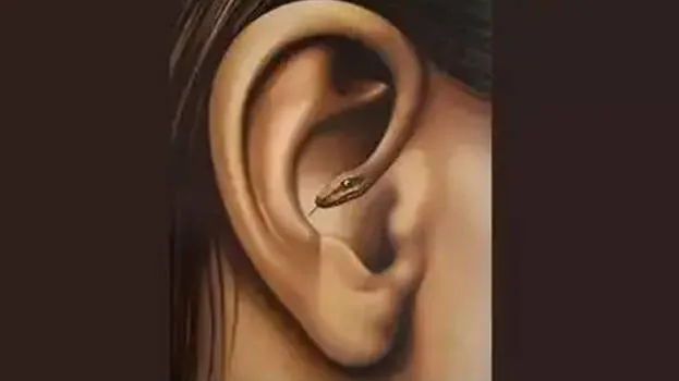 ear