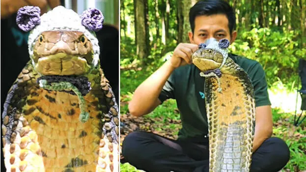 king-cobra