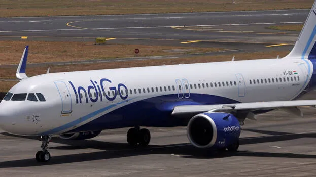 indigo