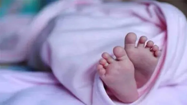newborn