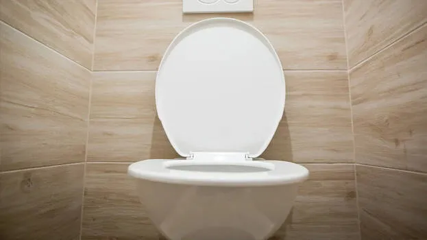 toilet-seat-