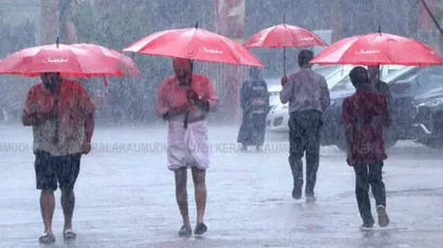 rain