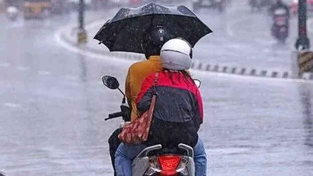 rain